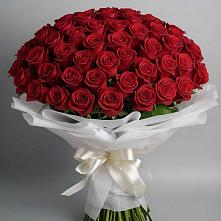 Букет 101 Красная роза Блэк Мэджик в Амурзете