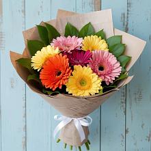 Букет цветов из:  Герберы #REPLACE_PRED# Амурзете
