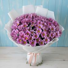 Букет цветов из:  Хризантемы в Амурзете