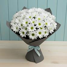 Букет цветов из:  Хризантемы #REPLACE_PRED# Амурзете