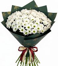 Букет цветов из:  Хризантемы в Амурзете