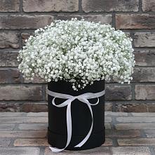 Цветочная композиция из Гипсофила в шляпной коробке #REPLACE_PRED# Амурзете