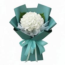 Букет цветов из:  Гортензия в Амурзете